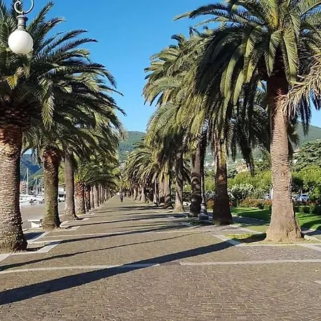 The Garden