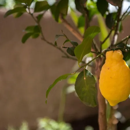 דירה The Garden לה ספציה